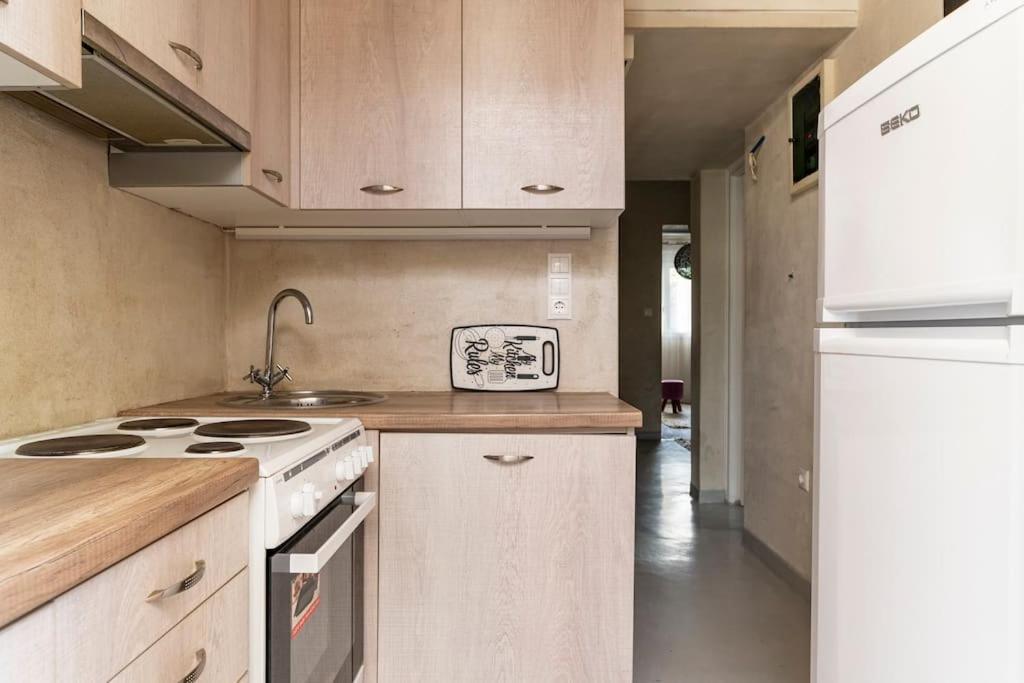 Cute Full Apt W/Backyard In Paleo Faliro Athènes Extérieur photo